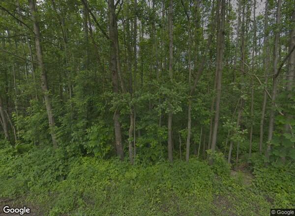 Ceny mieszkań Łódź Złotno 97/101