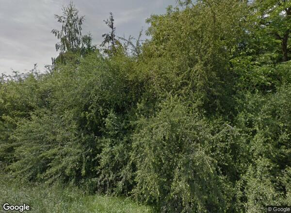 Ceny mieszkań Wrocław UL. BUFOROWA 93